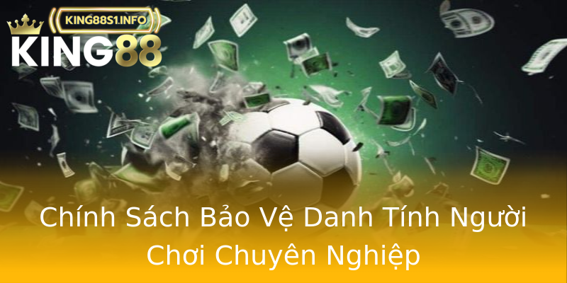 Chính Sách Bảo Vệ Danh Tính Người Chơi Chuyên Nghiệp Chính Sách Bảo Vệ Danh Tính Người Chơi Chuyên Nghiệp