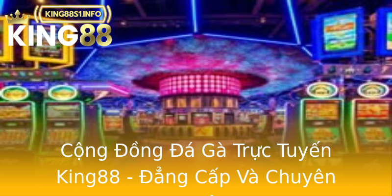 Cộng Đồng Đá Gà Trực Tuyến King88 - Đẳng Cấp Và Chuyên Nghiệp Cộng Đồng Đá Gà Trực Tuyến King88 - Đẳng Cấp Và Chuyên Nghiệp