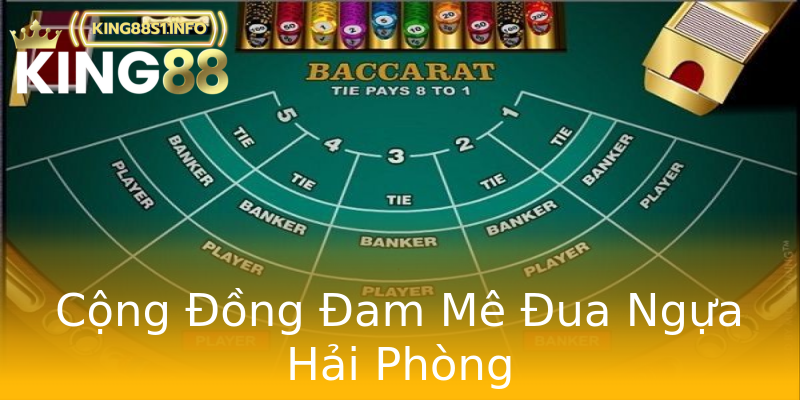 Cộng Đồng Đam Mê Đua Ngựa Hải Phòng Cộng Đồng Đam Mê Đua Ngựa Hải Phòng