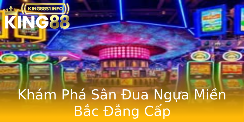 Khám Phá Sân Đua Ngựa Miền Bắc Đẳng Cấp Khám Phá Sân Đua Ngựa Miền Bắc Đẳng Cấp