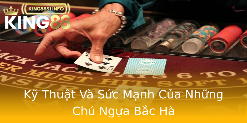 Kỹ Thuật Và Sức Mạnh Của Những Chú Ngựa Bắc Hà Kỹ Thuật Và Sức Mạnh Của Những Chú Ngựa Bắc Hà