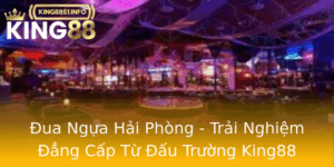 Ua Ngua Hai Phong Trai Nghiem Ang Cap Tu Au Truong King88